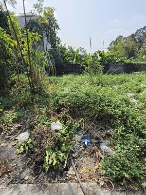 đất họa đống, trường thịnh, 54m2, ôtô cách 15m, 1.6 tỷ ứng hòa. lh 