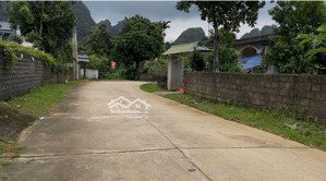 đường btong 2 xe tránh nhau thoải mái, xây nhà ở ngay