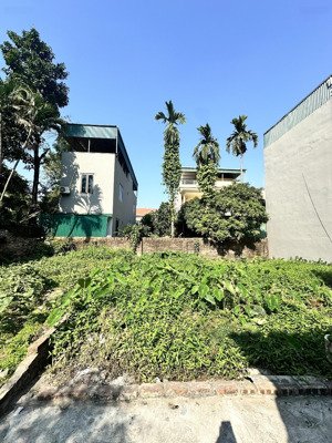 chính chủ bán đất trung tâm gia lâm giá đầu tư vị trí đẹp, ngõ nông ô tô vào tận đất diệ