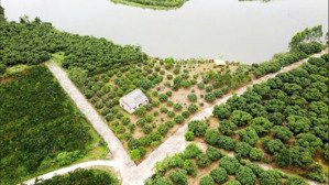 bán đất mỹ an, lục ngạn, bắc giang 400m thổ cư tách sẵn 5 sổ, tổng 2355 m2 chào 2,36 tr/ m2