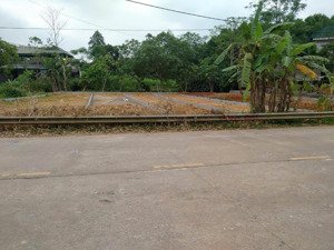 lô đất đấu giá mặt đường ql70b, khu đông dân cư, cách chợ hương cần ub trường chợ chỉ vài bước chân