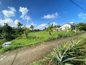 bán đất thổ cư tân thới đồng tháp 252m², có 100m² thổ cư, giá 190 triệu, gần tl877b