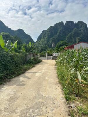 420 triệu | 101,8m² / 50m² thổ cư | Thôn Dẻ Cau Cao Dương (trước đây Thanh Sơn)