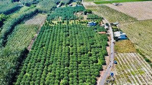 đã đến lúc an cư lạc nghiệp khi mà đất vườn rộng mà còn rẻ tại thành phố hồ chí minh.