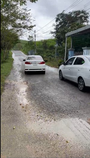 bán đất tại xã hòa ninh, hòa vang, đà nẵng, 2,4 tỷ, lh 