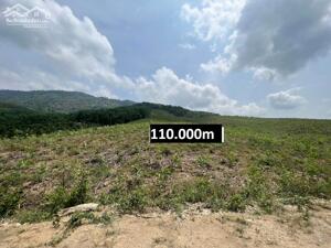 bán đất làm nhà vườn, trang trại 11 hecta giáp betong hơn 300m giá rẻ xã Khánh Nam, Khánh Vĩnh