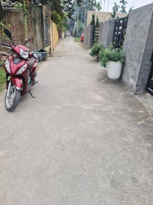 Lô góc tổ 8 thị trấn An Dương Hải Phòng