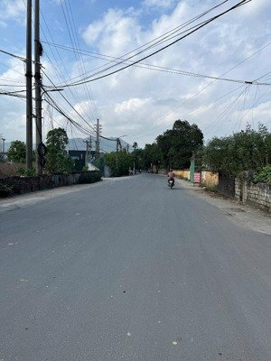 chủ cần bán gấp để lấy tiền mua đào quất tết