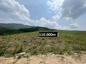 bán 11 hecta đất giáp bêtông hơn 300m làm nhà vườn, trang trại gần tt khánh vĩnh giá rẻ