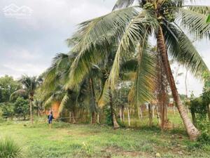 Bán đất mặt tiền Hà Thị Kiểm , xã Phú Mỹ Hưng tdt 1711m2 ( có 500m2 thổ) giá 6,5 tỷ