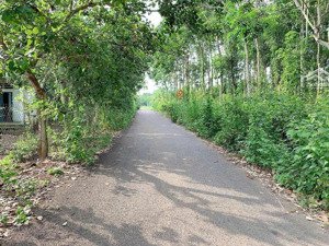 bán 12.000m2 view suối quanh năm tai xã kim long, tp. hcm, đường nhựa 12m