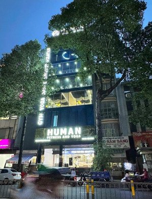 siêu rẻ! building mặt tiền đường lê hồng phong, phường 12, quận 10