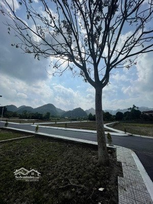 bán đất thổ cư 55m² cách utopia lạc thủy 500m, giá 8 triệu/m²