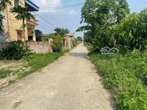 thượng hồng - tp hải phòng . lô góc . diện tích 356m x mt 15m . trục chính thôn . giá 3.3 tỷ