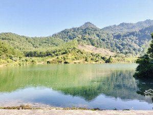 chủ cần bán 18ha rsx 1 sổ bám hồ tự nhiên tại hòa bình, diện tích thực tế khoảng 20ha