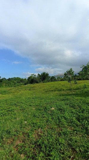 chính chủ gửi bán lô đất 3600m full thổ cư tại kim bôi hòa bình