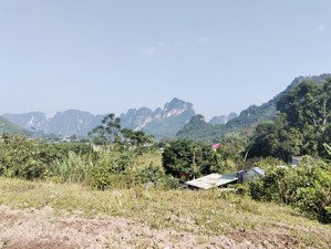 chủ cần bán đất nghỉ dưỡng tại lương sơn hoà bình