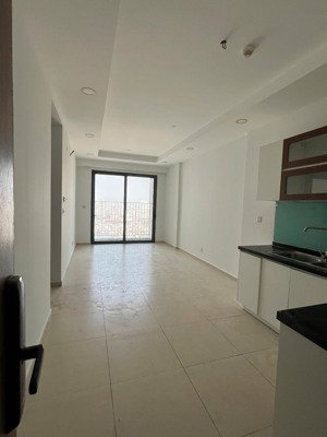 bán căn hộ cao cấp the pegasuite q8 2pn giá siêu tốt sổ hồng riêng