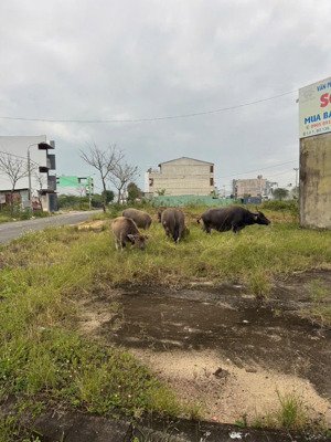 chính chủ bán lô góc 2mt phạm vấn sơn trà, 95m², giá 19 tỷ - giá tốt nhất khu