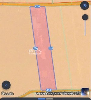 hàng hiếm tại long nguyên, 32 tỷ, 10000 m2, bàu bàng, bình dương