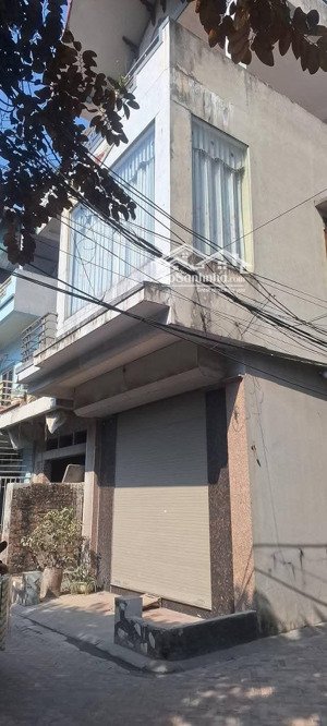 hàng hiếm cổ loa lô góc nhà 3 tầng chỉ sơn lại là ở + diện tích 62m, đất ở 100%..
+ nhà dâ