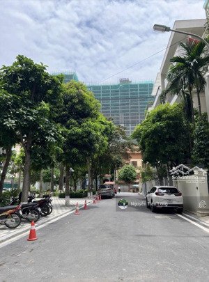 bán biệt thự vườn đào- cạnh tân hoàng minh, view vườn hoa - xây vp, bt - 176m2 giá 98.5 tỷ - sổ nét