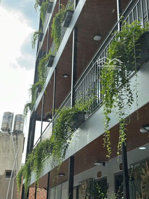 một dự án mới - không gian sống đẳng cấp nằm ngay tân bình giáp quận 10