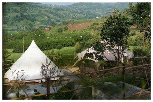 một farm mini đầy đủ pháp lý vào là vận hành được ngay cách sân bay tp tuy hoà chỉ 30km