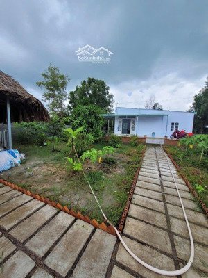 bán nhà vườn có sẵn nhà chòi . nhà cấp 4 vườn cây ăn trái
xã hiệp hòa long an hướng gần sân golf