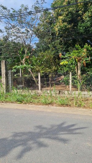 bán đất mặt đường nguyễn công trứ giá giá chỉ 5,5tr/m2