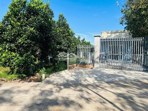 bán vườn mít thái 682m2(300tc), cách kcn hàn quốc 550ha 4km, trung tâm xã đầy đủ tiện ích cách 850m