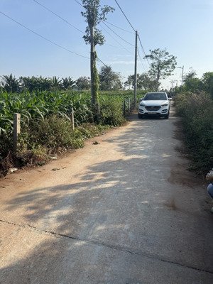 bán đất xã xuyên mộc hcm ngang 5mx55m có 80m2 thổ cư, khu dân cư, gần chợ xuyên mộc giá 870 triệu