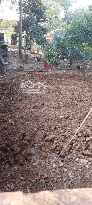 anh trai wm co việc cần tiền bán nhanh mảnh đất phun thổ cư