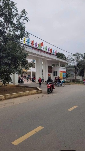 mặt trục chính đường thông tứ tung giá rẻ hơn khu vực