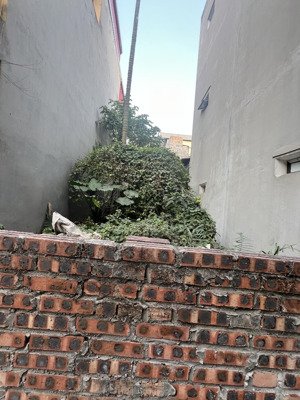 bán đất phúc lợi - ngõ nông - gần ô tô - thông số vàng để ở hoặc đầu tư