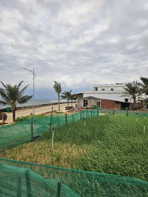 đất view biển, trung tâm đặc khu lý sơn