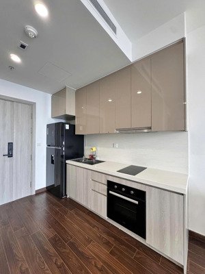 duy nhất dọc lê văn lương cho thuê chung cư start city 1n full đồ giá 13tr ở ngay nhà đẹp giá tốt