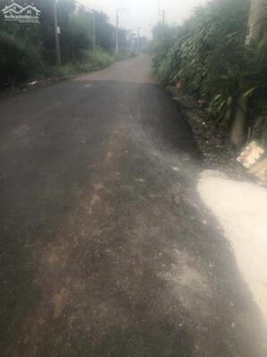 Bán đất vườn full hồng