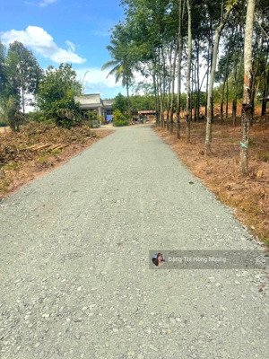 260tr__đường ô tô chà là,tây ninh 5x28m full thổ