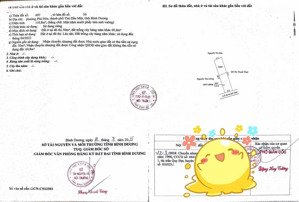 nhà trệt lầu nhánh lê hồng phong, phú hoà. dt 5x22; 3pn giá 3tỷ650