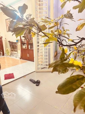 mặt tiền khu vip bàu cát-tân bình vị trí kinh doanh đỉnh-117m2(4.1/4.3x29)-4 tầng btct-giá 24tỷ tl