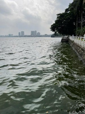 chính chủ bán đất lạc long quân, gần hồ tây, 79m2, lô góc, ngõ thông, 15 tỷ.