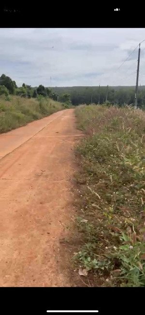 bán sỉ & lẻ 20 nền đất hớn quản tỉnh bình phước(đồng nai mới).