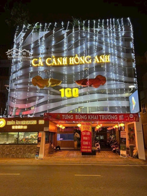 xuất cảnh bán gấp - bán nhà mặt tiền đào duy anh 181.5m² 5 tầng - 75 tỷ