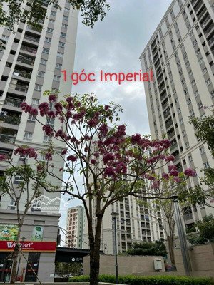 sở hữu ch đã có sổ hồng lâu dài tại cc imperial place 633 kinh dương vương, bình tân tphcm
