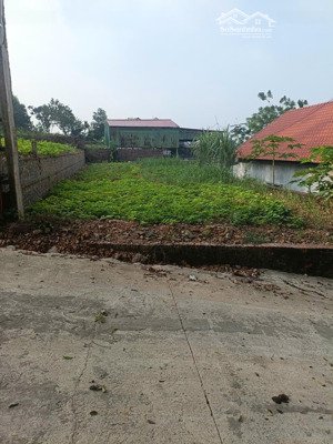 lô đất vuông vắn đẹp ở phú sơn-đường thông thoáng cách chợ-trường học 900m-cách bệnh viện ba vì 2km