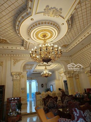 bán villa bành văn trân 324.9m 6 tầng - 66 tỷ - biệt thự hồ bơi