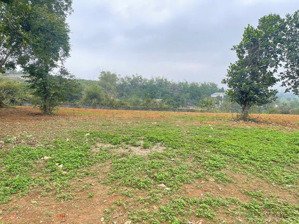 chính chủ bán 1024.2m² có đất ont t6 hưng long, bình chánh mặt tiền 20m, giá tốt 16tr/m²