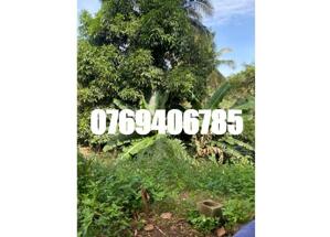 ⭐️CHÍNH CHỦ cần bán nhanh lô đất mặt tiền đường Y Jút, Buôn Ma Thuột. 135 tỷ. 0769406785