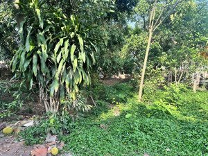 bán đất tại xã minh phú, sóc sơn, hà nội, 6,7 tỷ, 652m2, giá ưu đãi đẹp